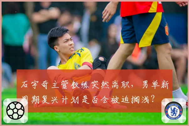 石宇奇主管教练突然离职,男单新周期复兴计划是否会被迫搁浅?