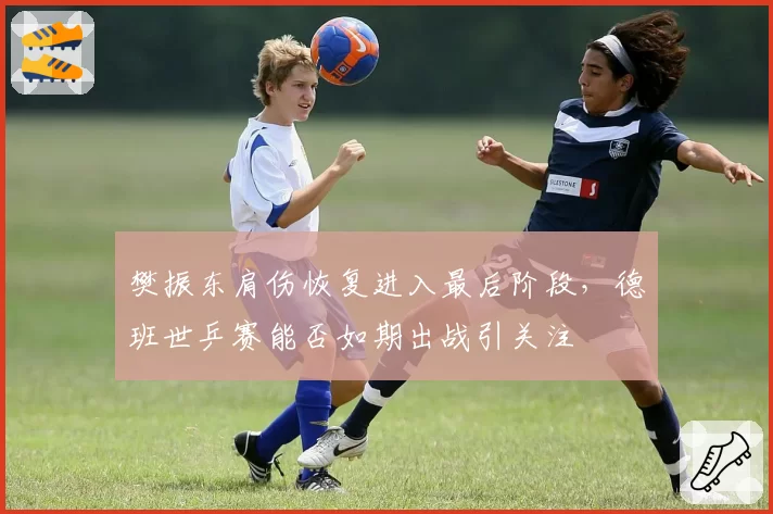 樊振东肩伤恢复进入最后阶段，德班世乒赛能否如期出战引关注