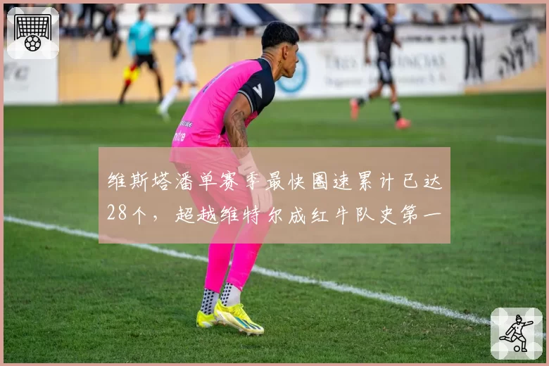 维斯塔潘单赛季最快圈速累计已达28个，超越维特尔成红牛队史第一