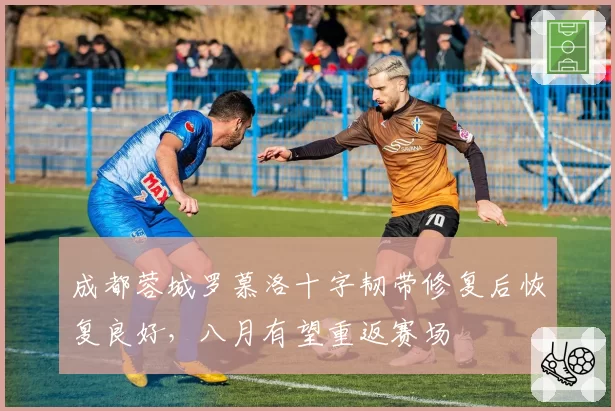 成都蓉城罗慕洛十字韧带修复后恢复良好，八月有望重返赛场
